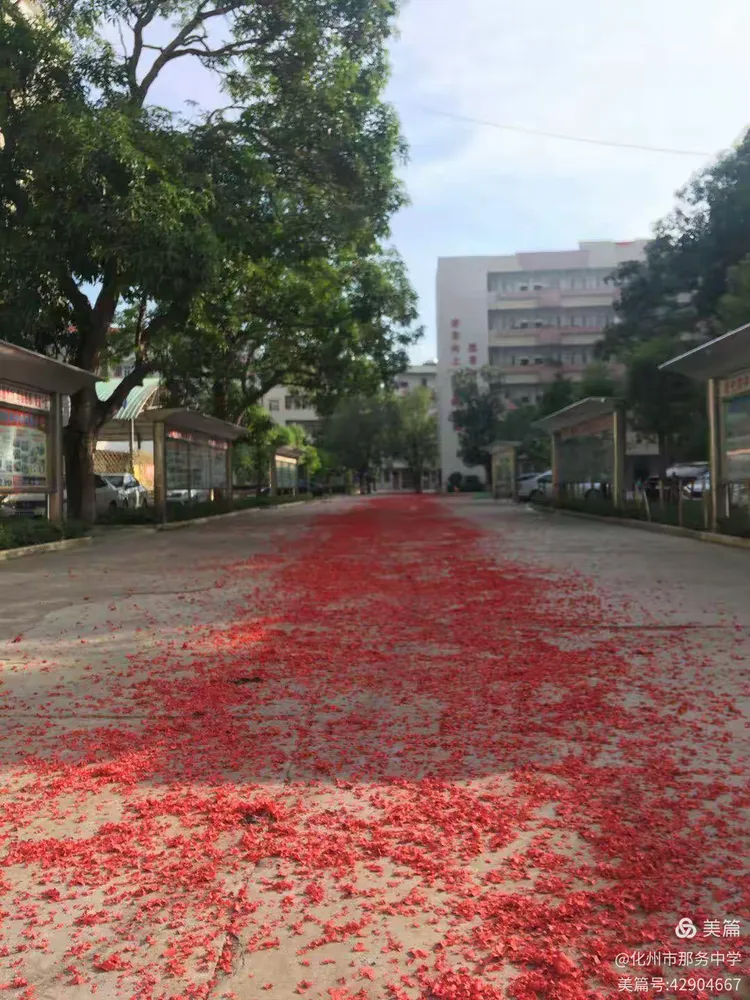 高考捷报喜传来 低进高出创辉煌